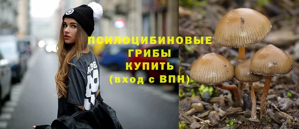 ешки Богородицк