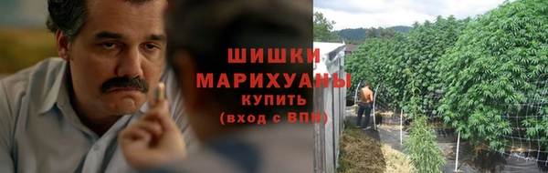 тгк Богданович