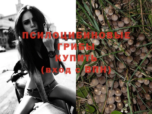 тгк Богданович
