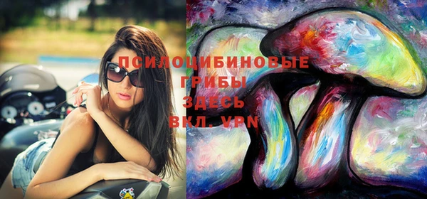 ешки Богородицк