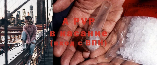 ECSTASY Бородино