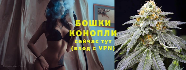 ешки Богородицк