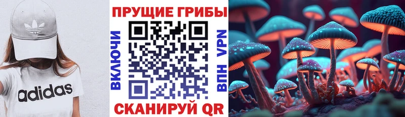 Галлюциногенные грибы Magic Shrooms  купить наркотики сайты  Смоленск 
